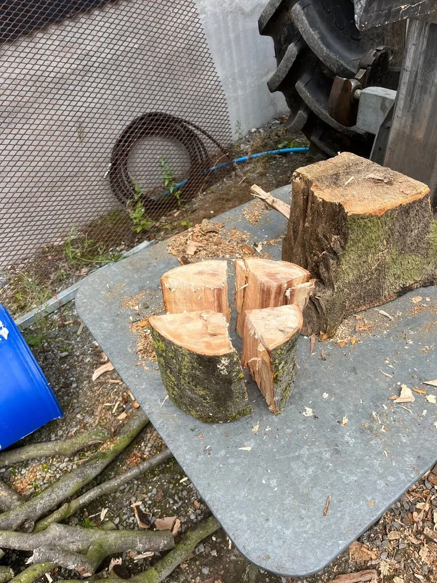 Firewood (hard wood) - Image 2