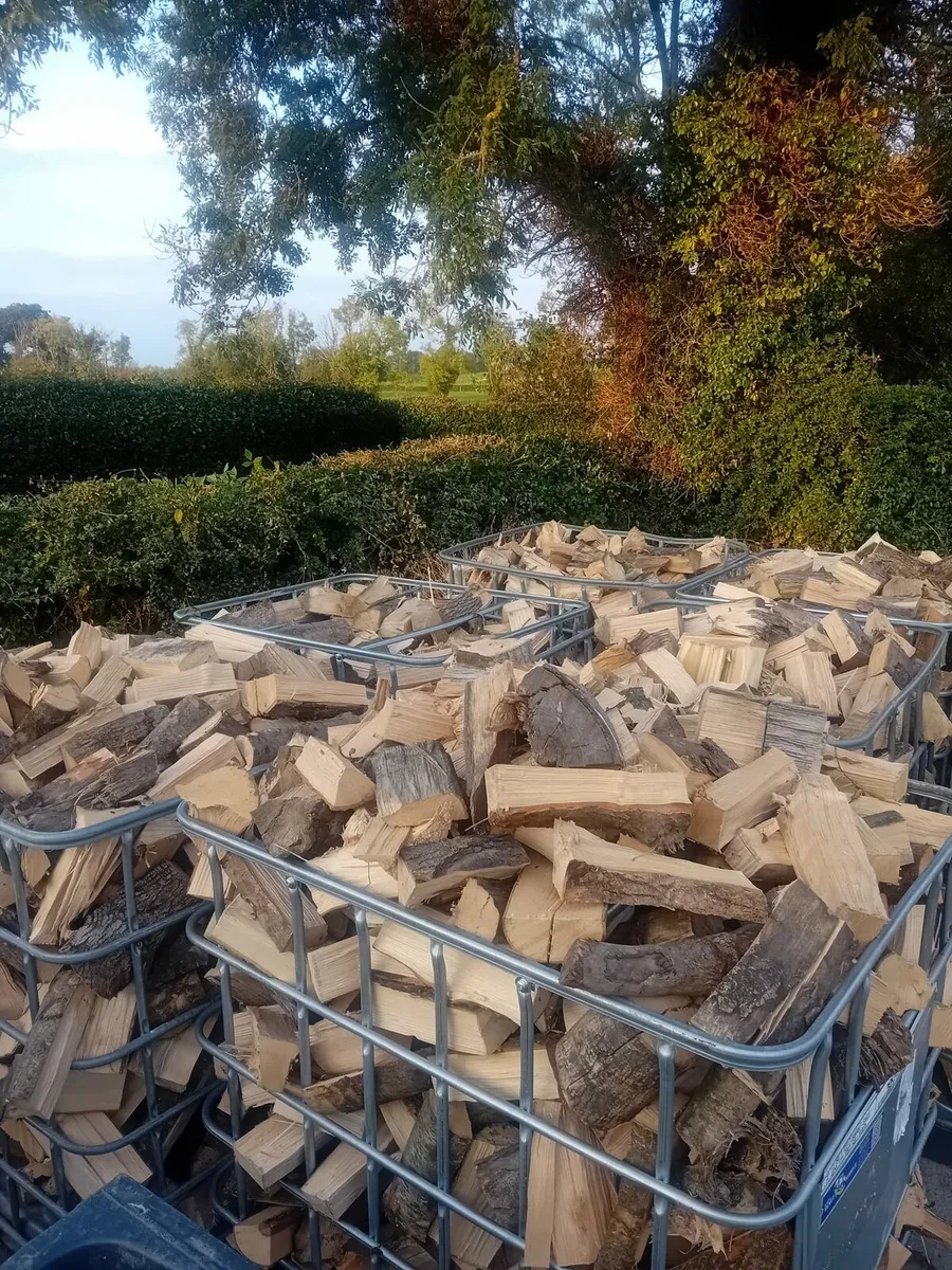 Firewood - Image 1