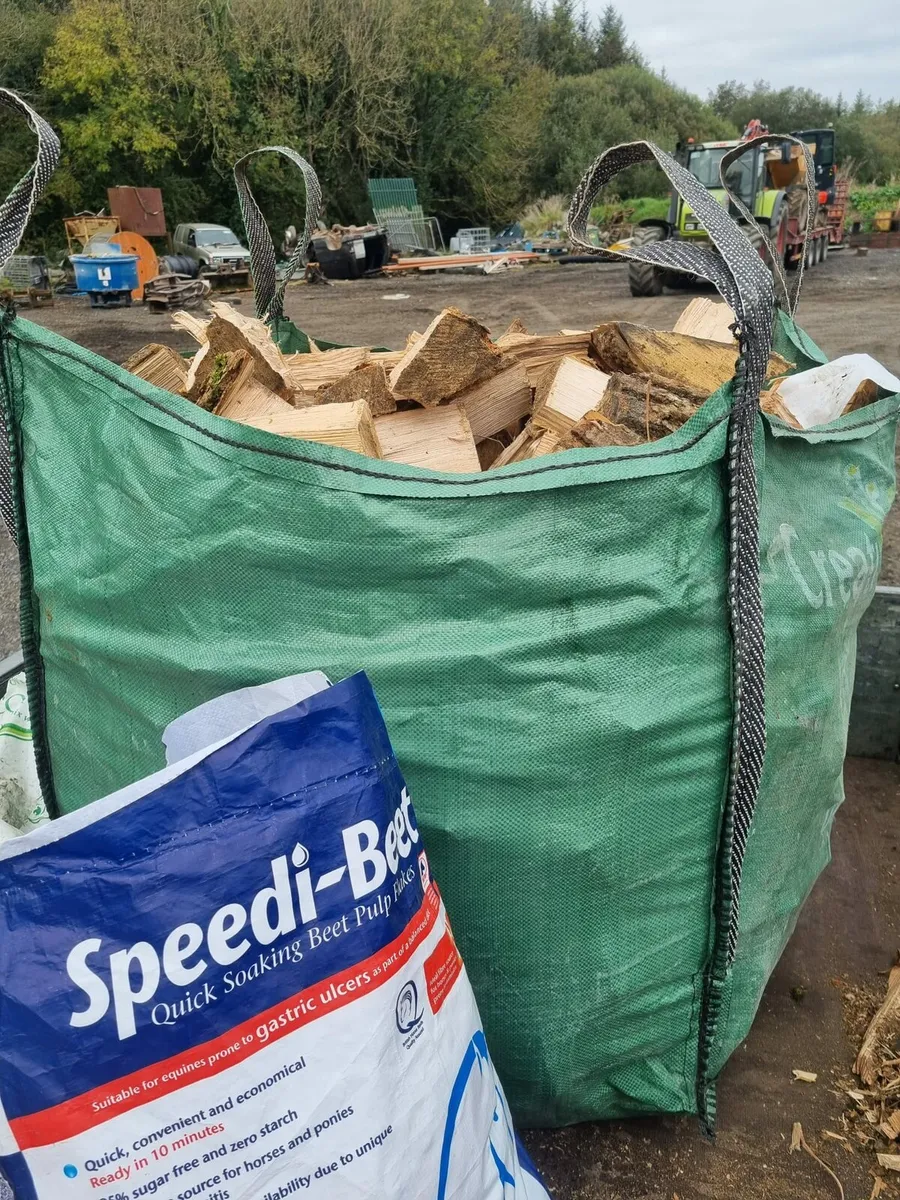 Firewood - Image 3