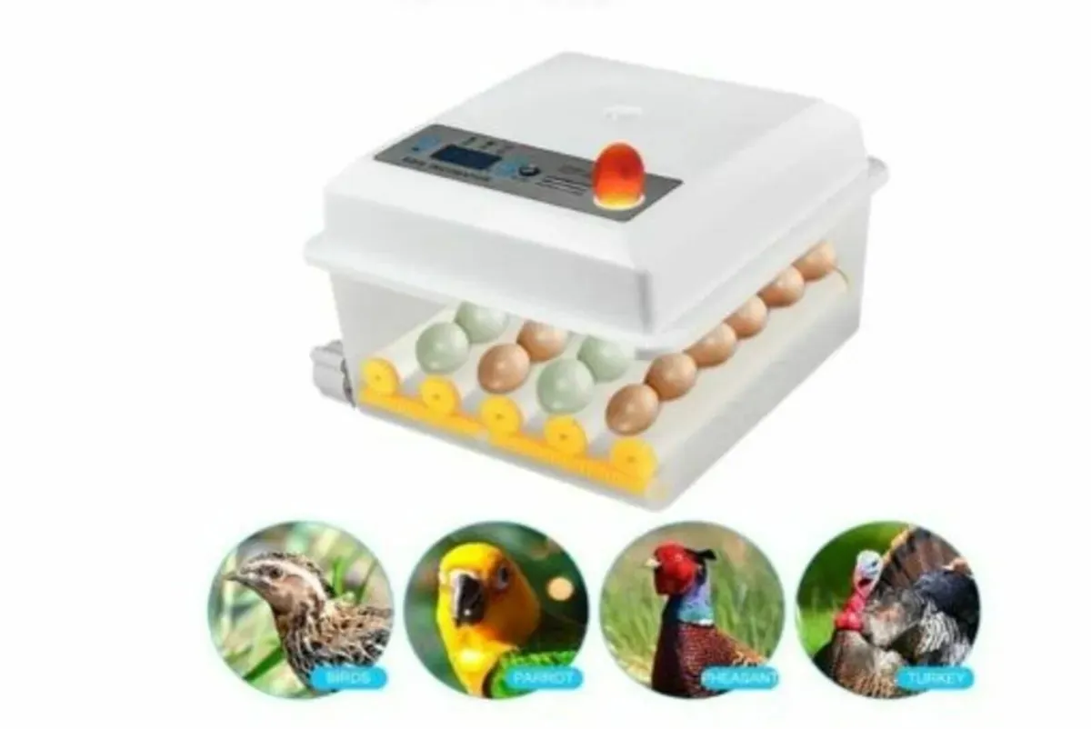 16 Egg Incubator Automatic &Temperature Control - Image 2