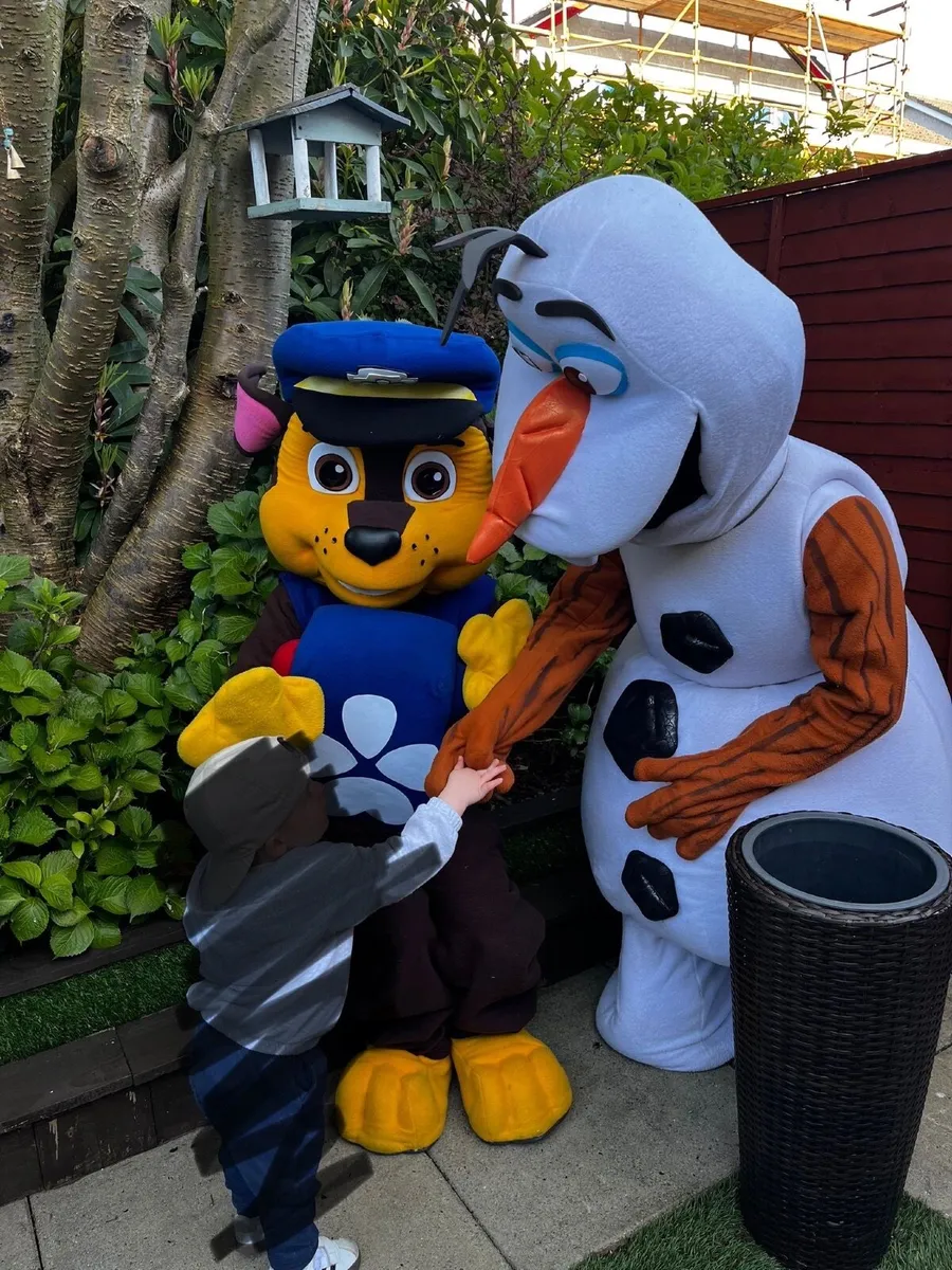 party mascots - Image 1
