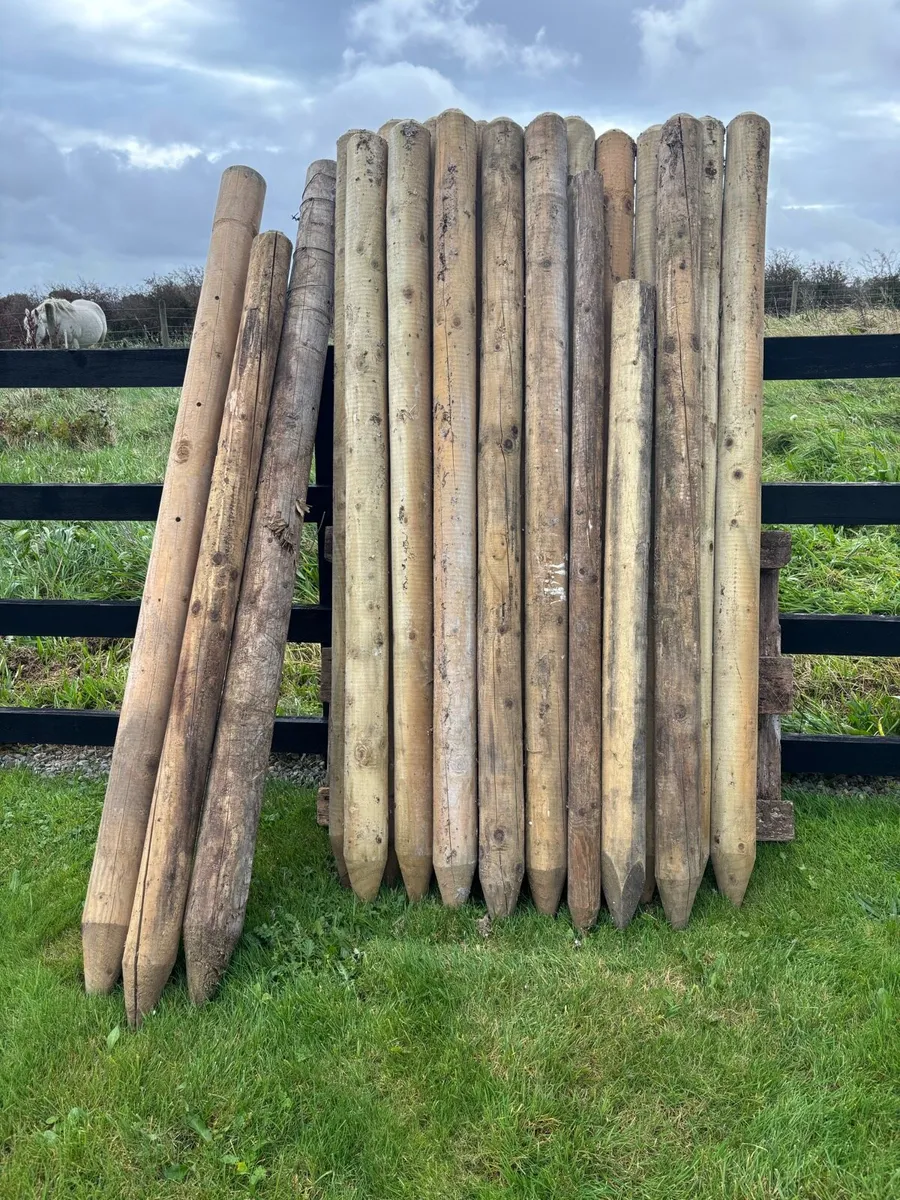 Fencing Staked