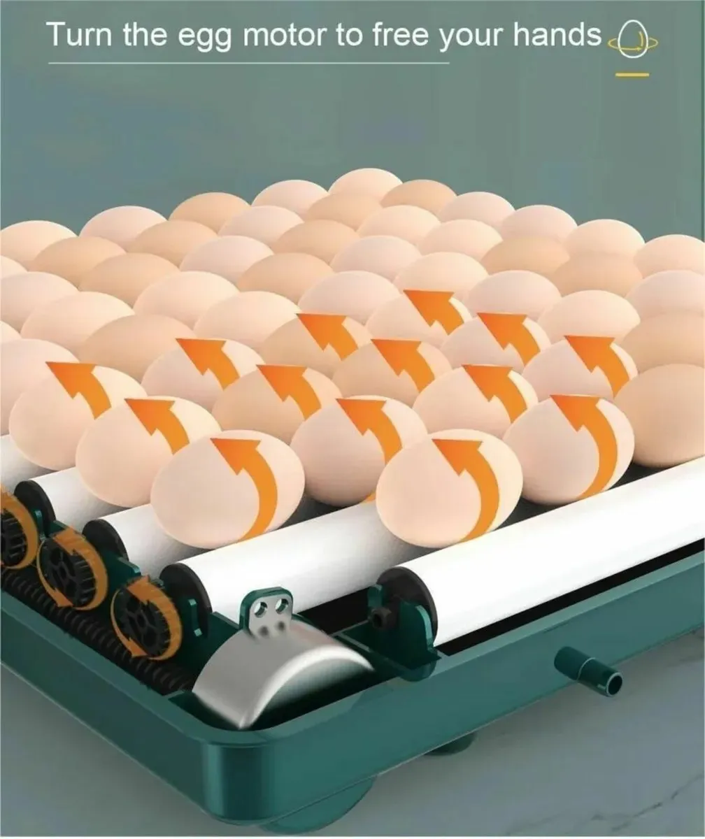 24 Egg Incubator with Drawers Automatic - Image 2
