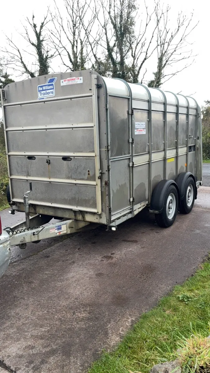 2019 Ifor Williams cattle / sheep trailer - Image 1