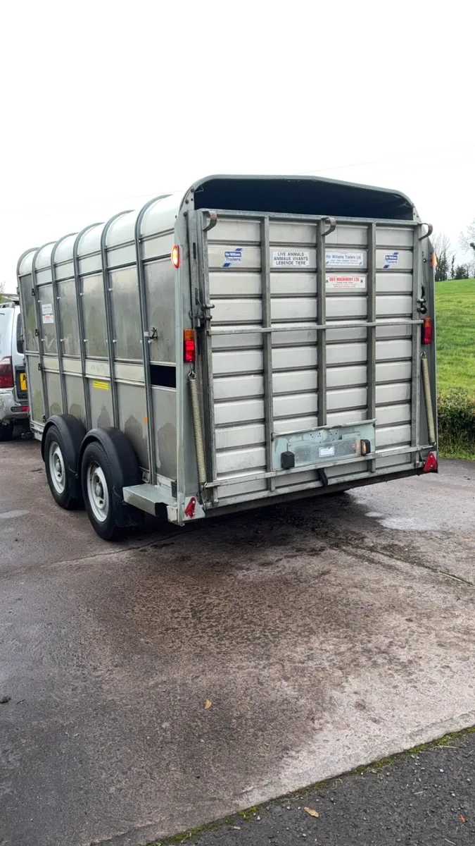 2019 Ifor Williams cattle / sheep trailer - Image 3