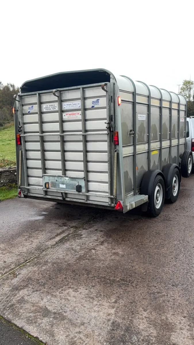 2019 Ifor Williams cattle / sheep trailer - Image 4