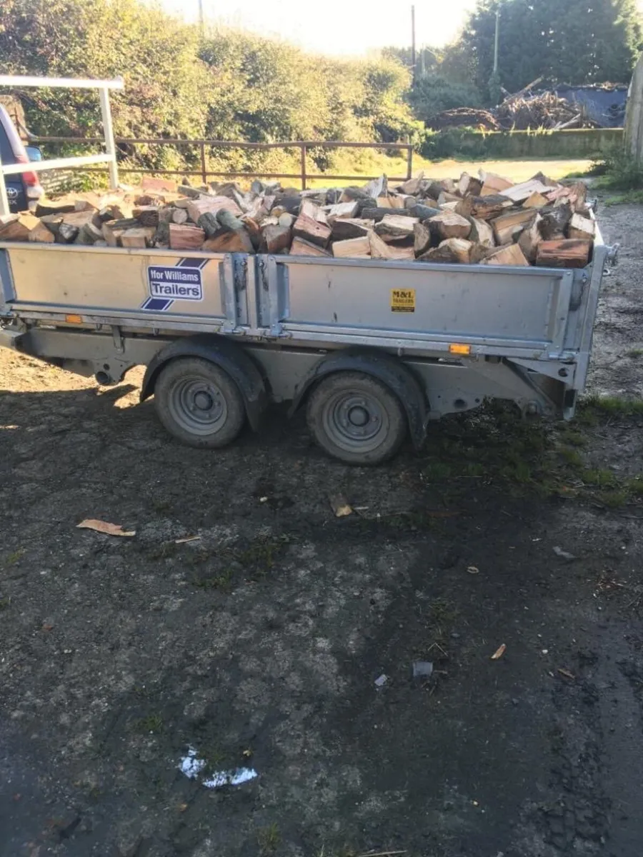 Firewood - Image 1
