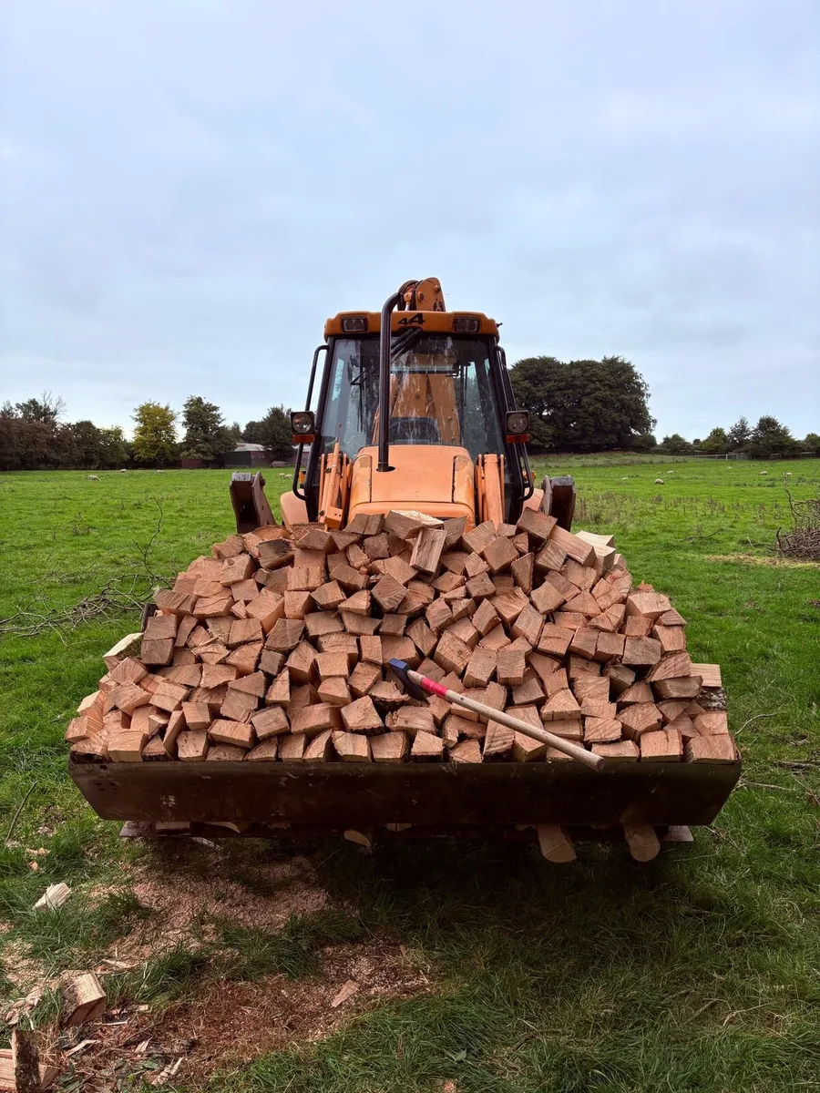 Firewood - Image 1