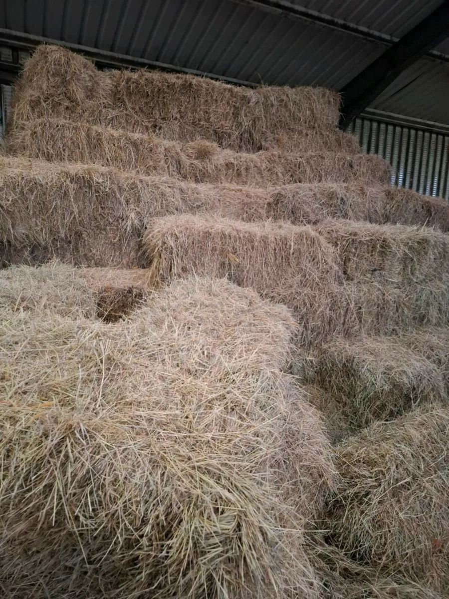 Small Square Bales Of Hay - Image 2