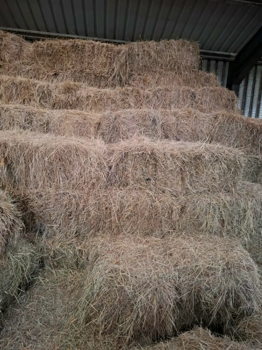 Small Square Bales Of Hay - Image 3