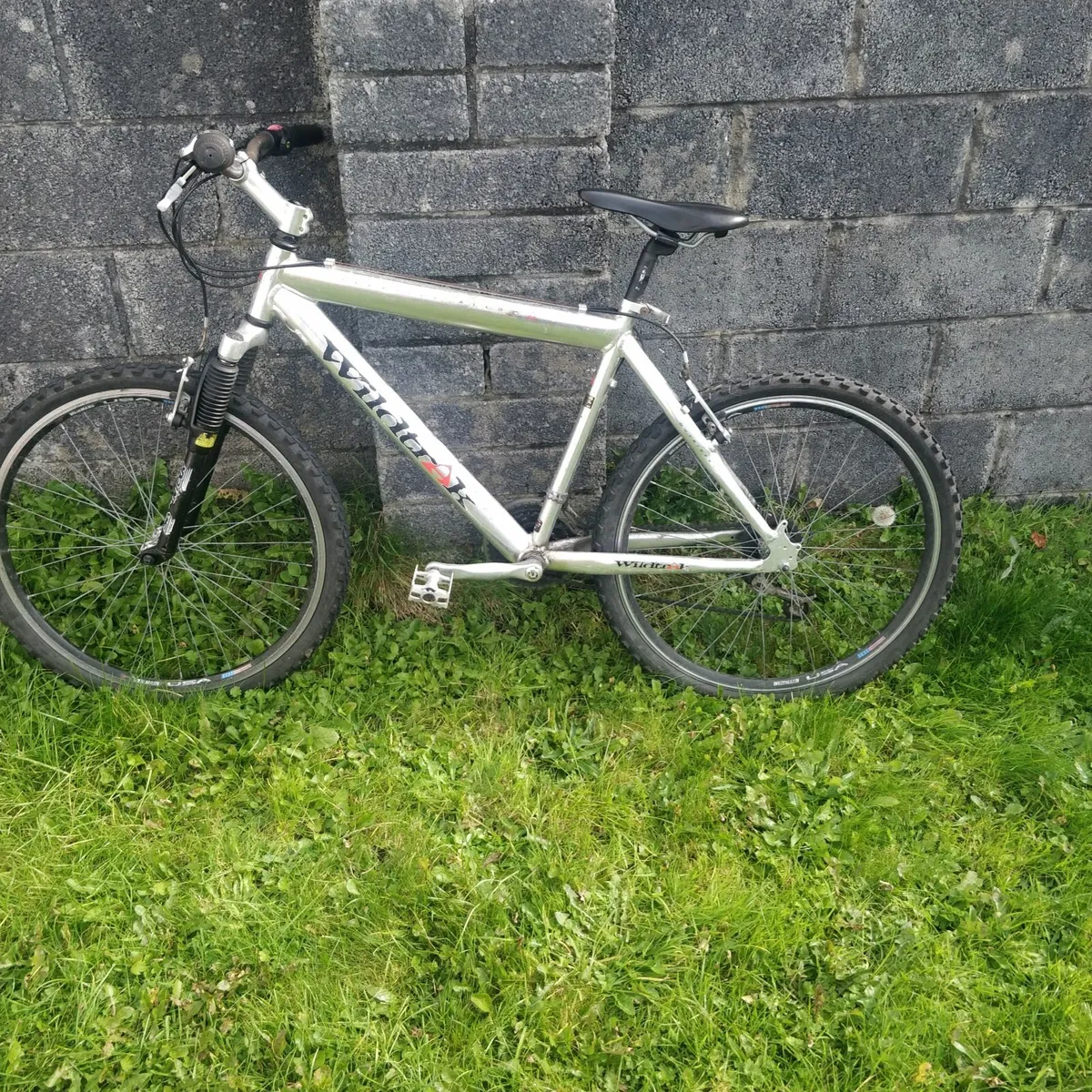 Bike - Image 1