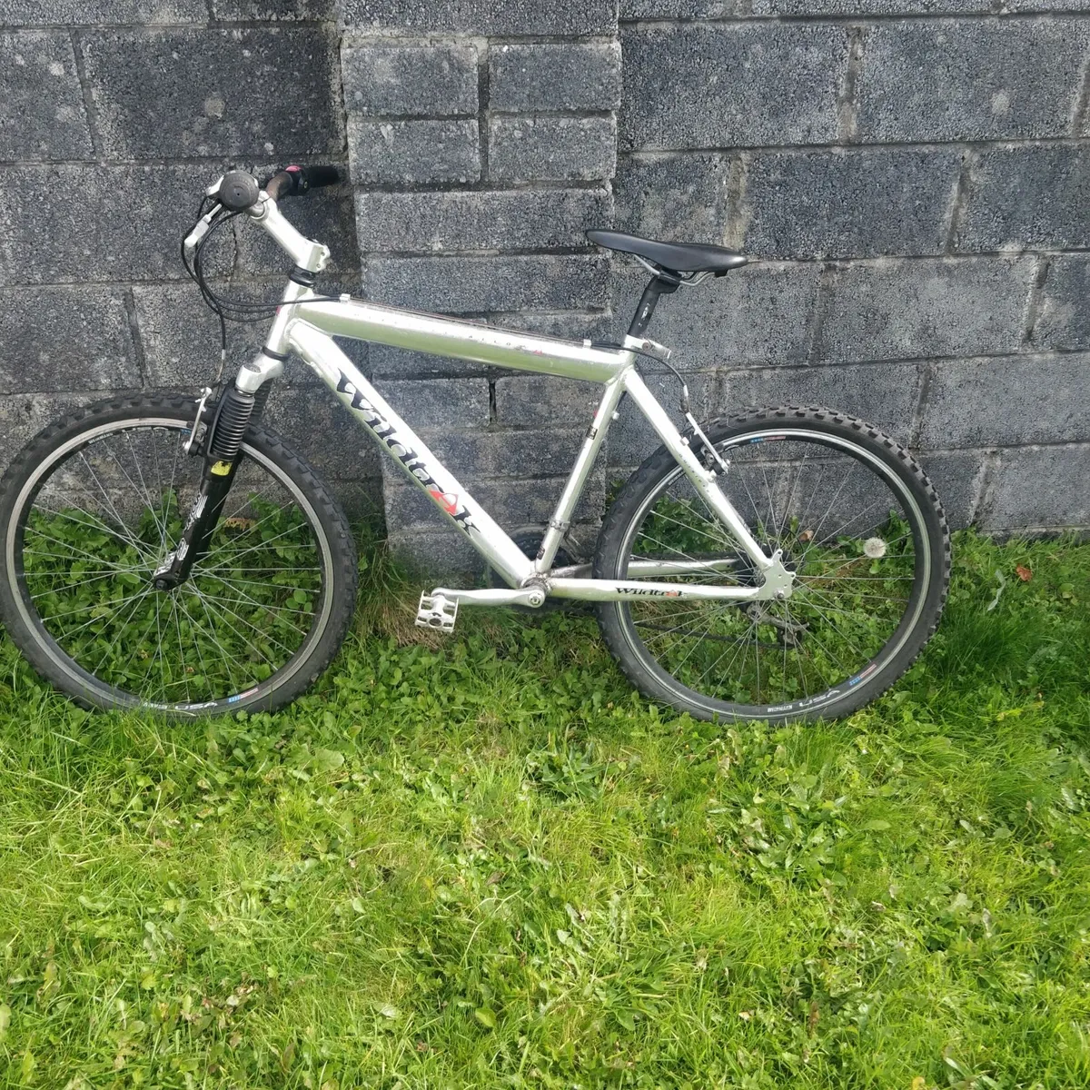 Bike - Image 2
