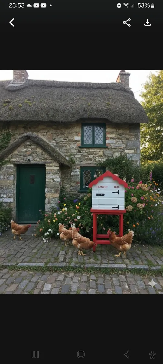 Honest box sell eggs bread cakes etc at home - Image 1