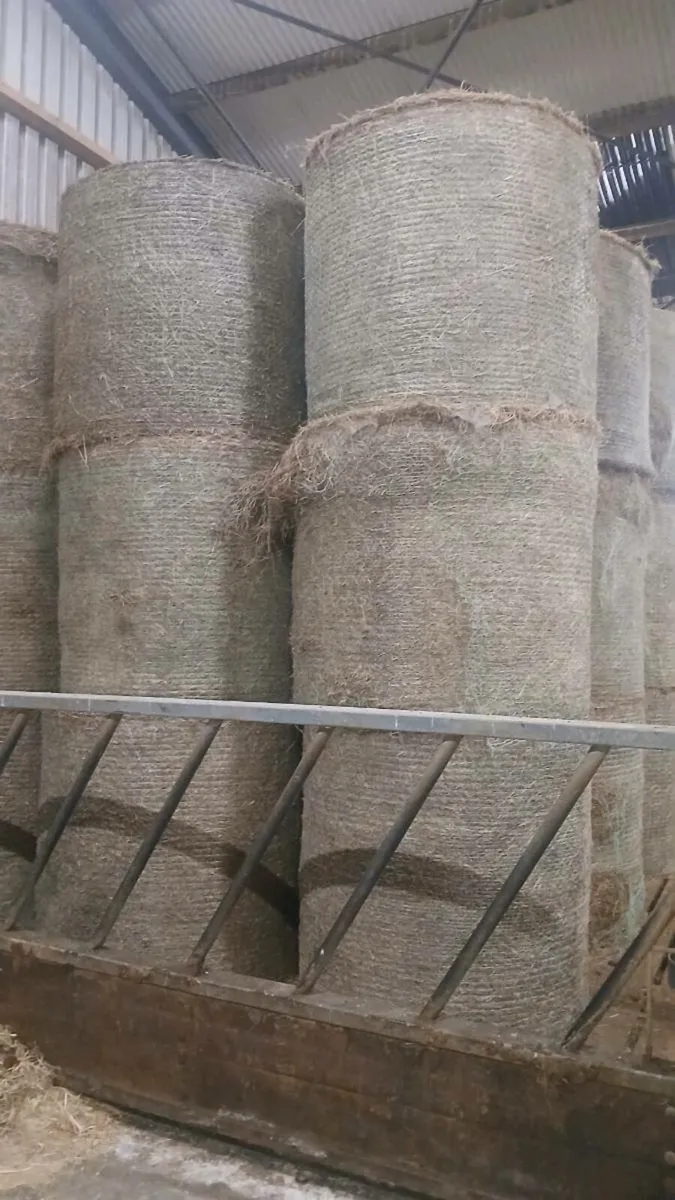 Hay