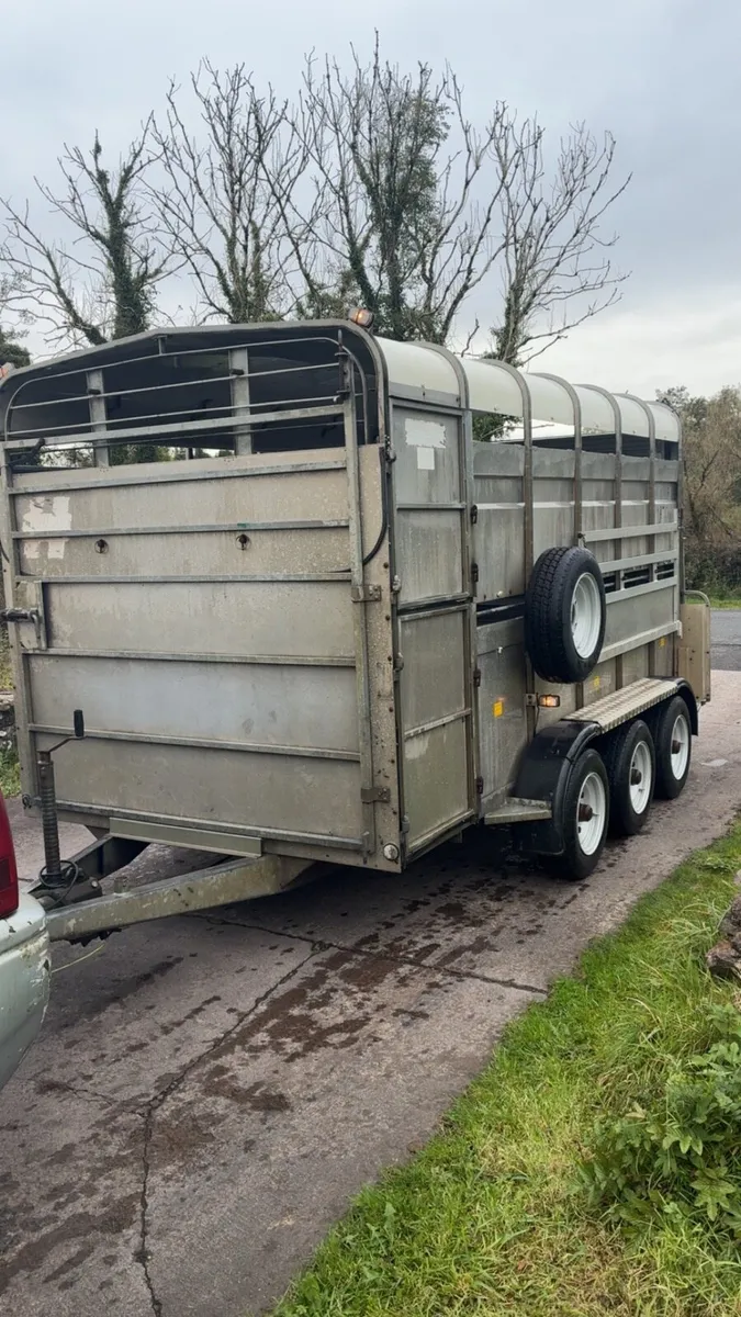 Hudson cattle / sheep trailer - Image 1
