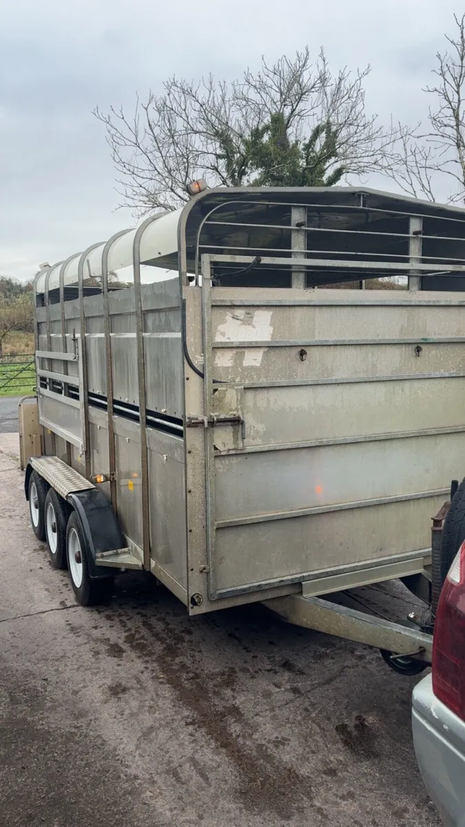 Hudson cattle / sheep trailer - Image 2