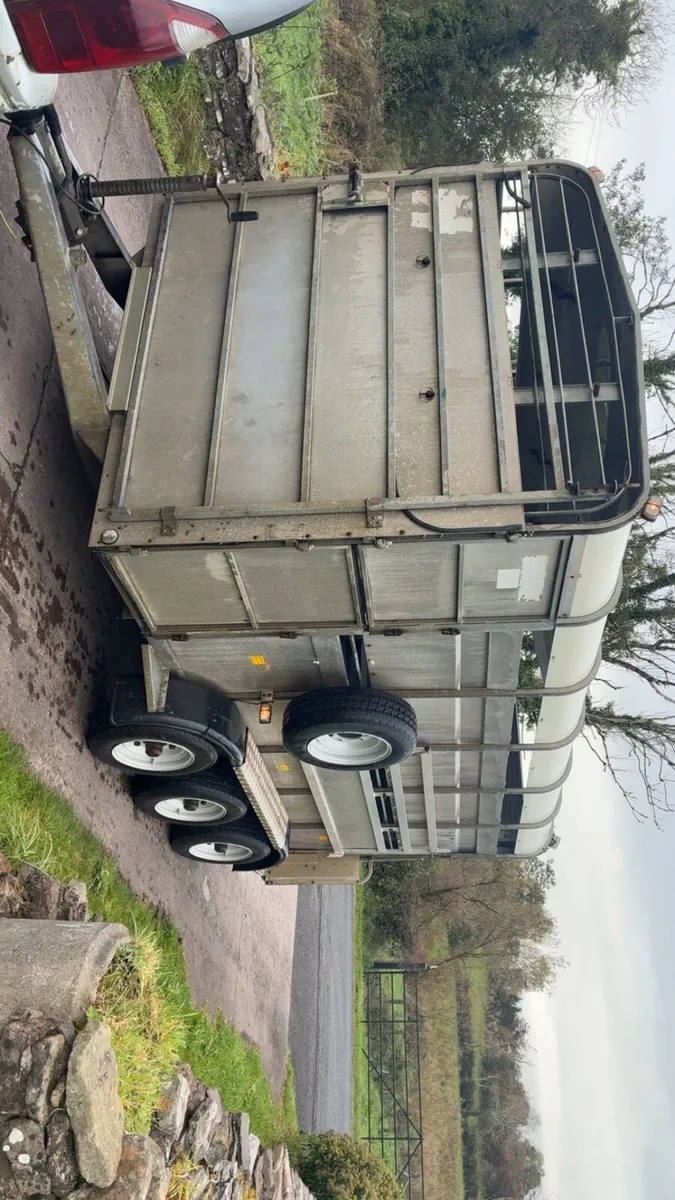 Hudson cattle / sheep trailer - Image 3