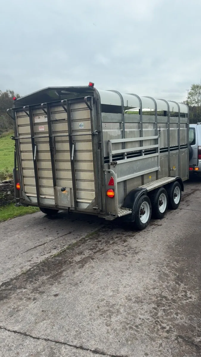 Hudson cattle / sheep trailer - Image 4