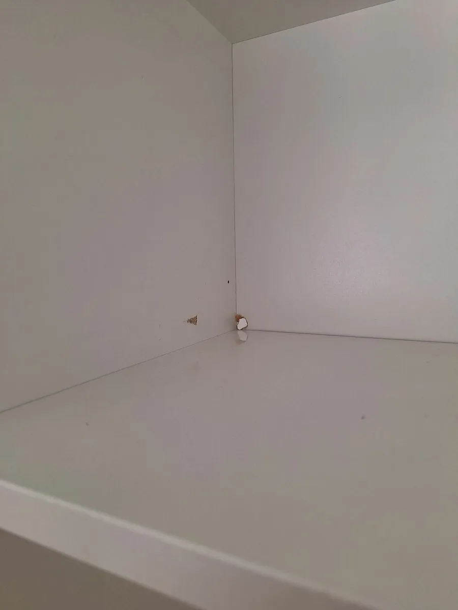 Bookcase - Image 4