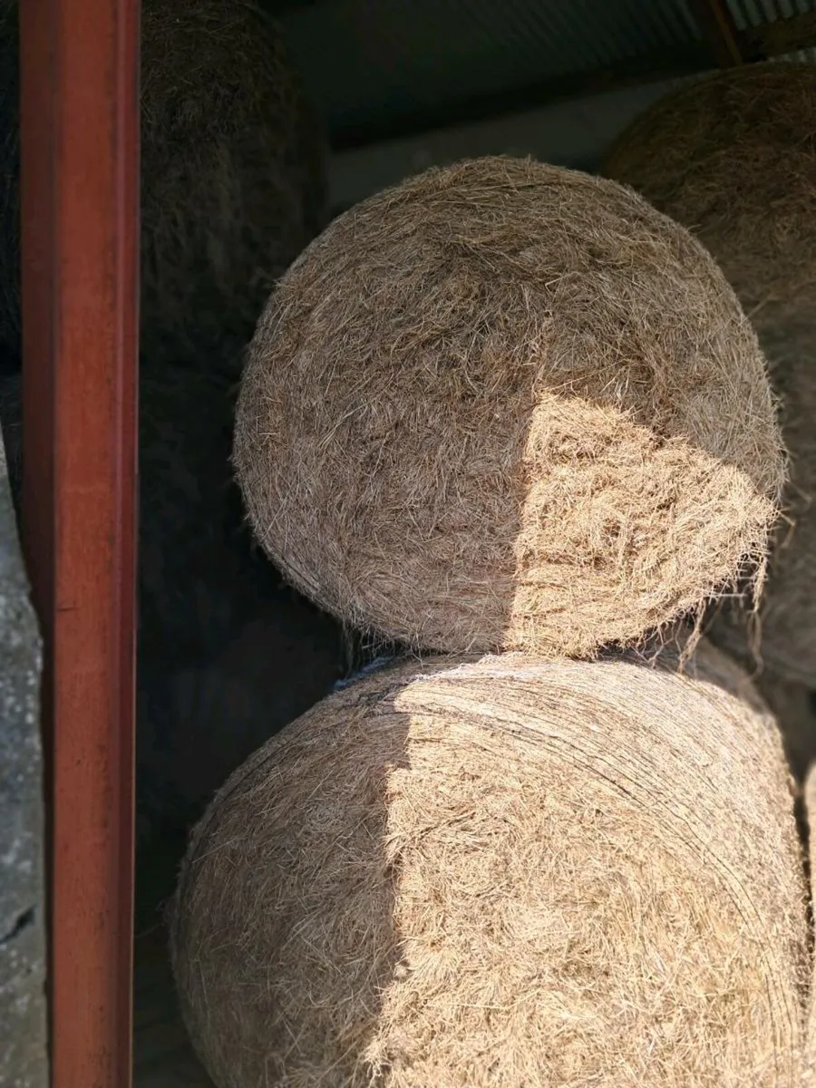 hay silage haylage - Image 2