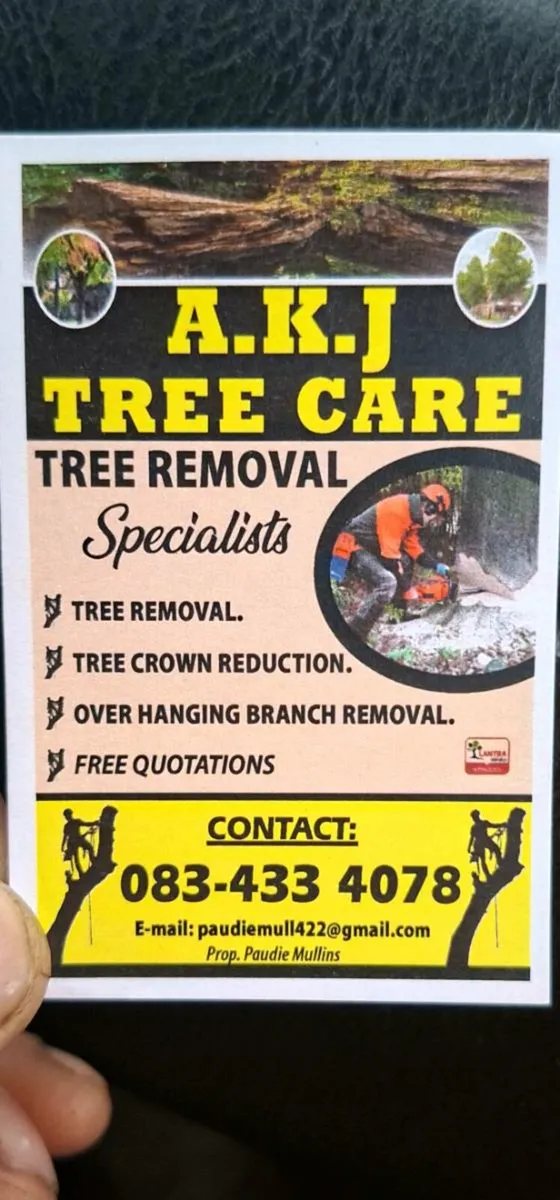 Tree care Services - Image 1