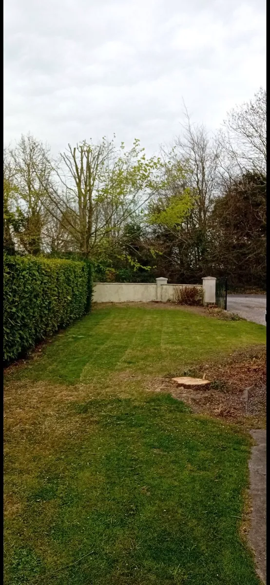 Tree care Services - Image 4