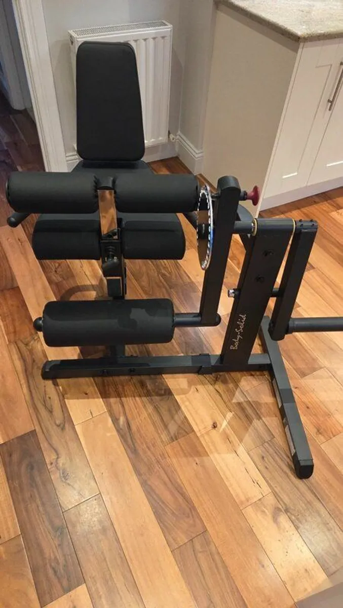 Leg extension and leg curl machine - Image 3