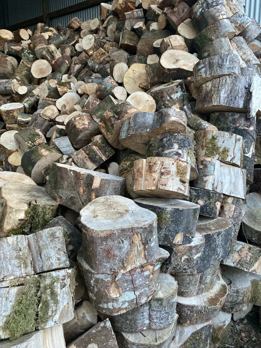 Timber for Sale - Image 2