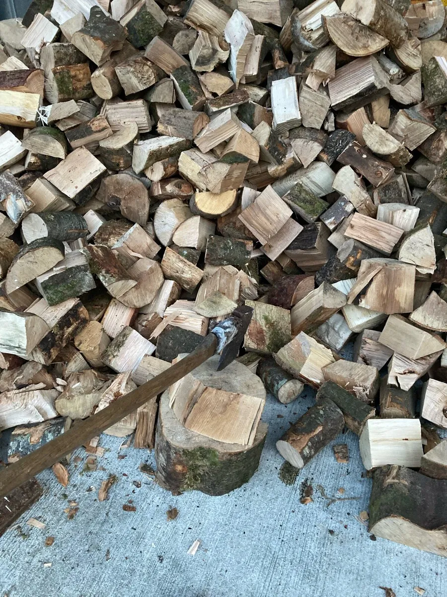 Timber for Sale - Image 3