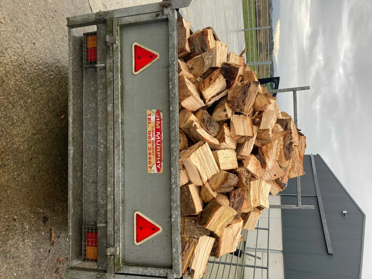 Timber for Sale - Image 4