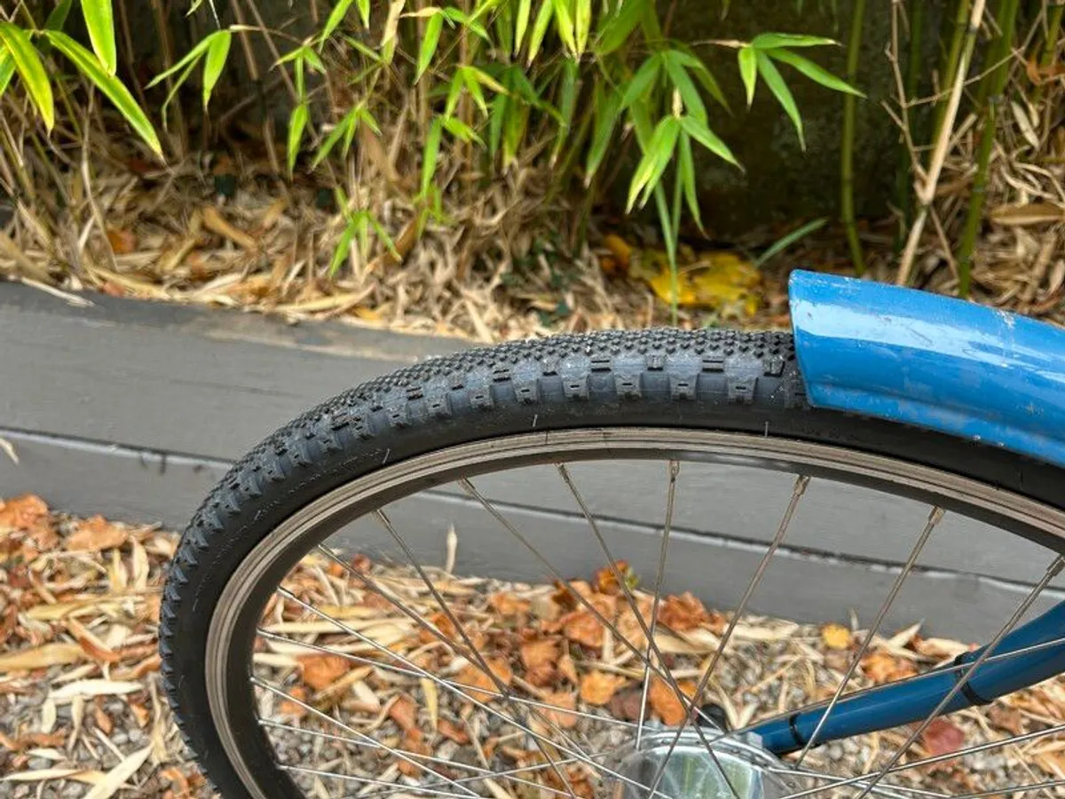 Electric Step-Thru Bike - Image 4