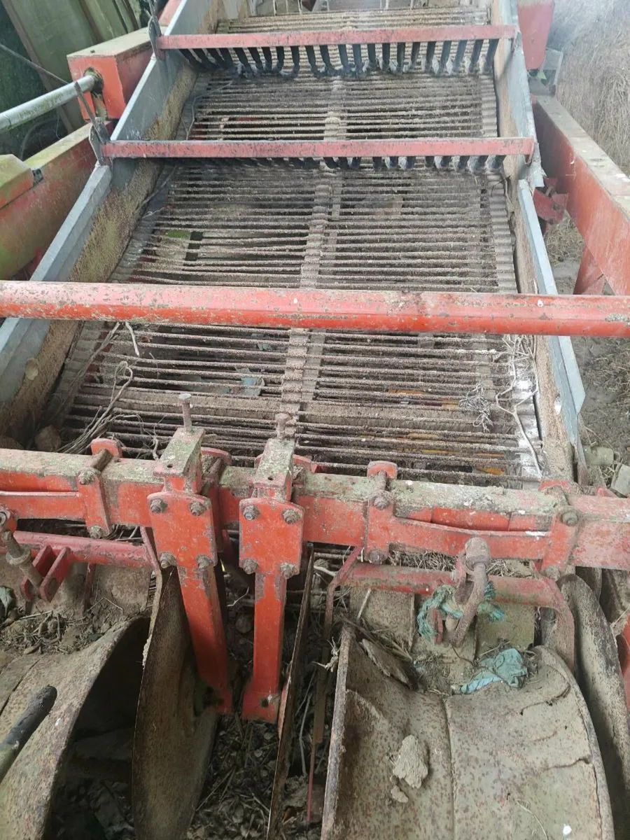 Potato harvester - Image 4