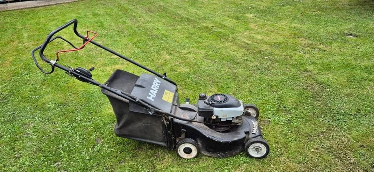 Harry Lawnmower for sale - Image 1