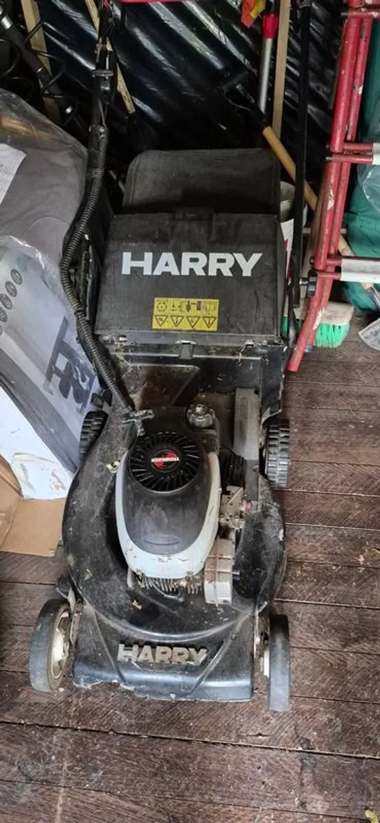 Harry Lawnmower for sale - Image 2