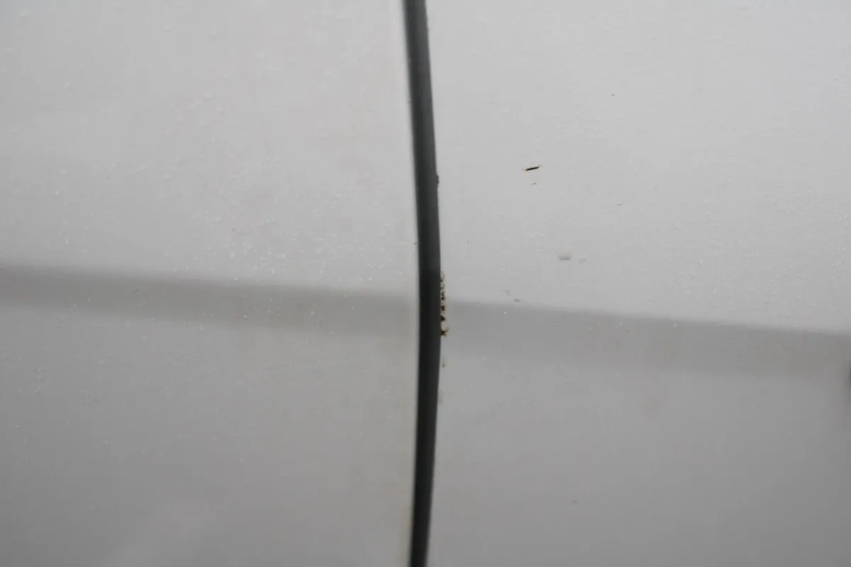 Ford Focus Style 1.5 TD 95hp 6spd - Image 4