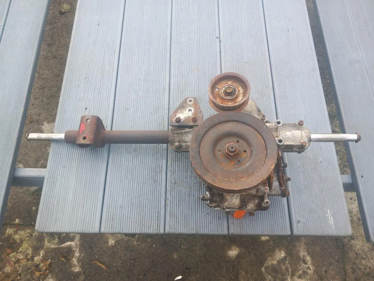 GUTBROD/LAWNFLITE variable speed for sale - Image 2