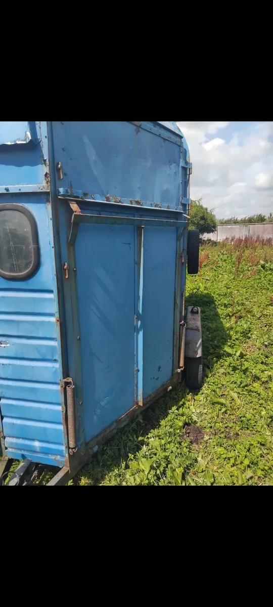 galway horsebox - Image 2