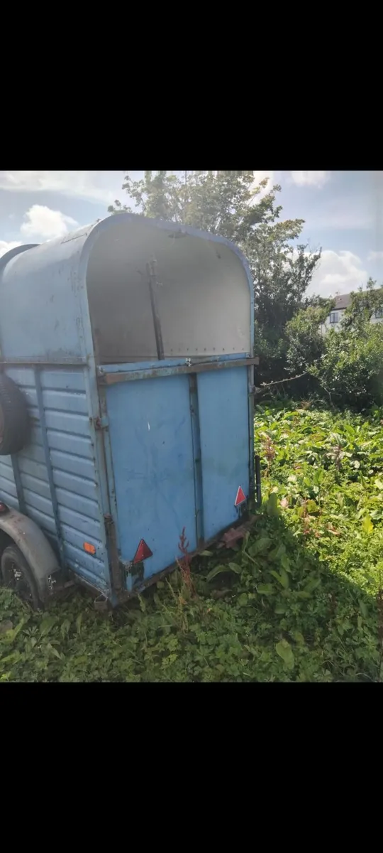 galway horsebox - Image 3