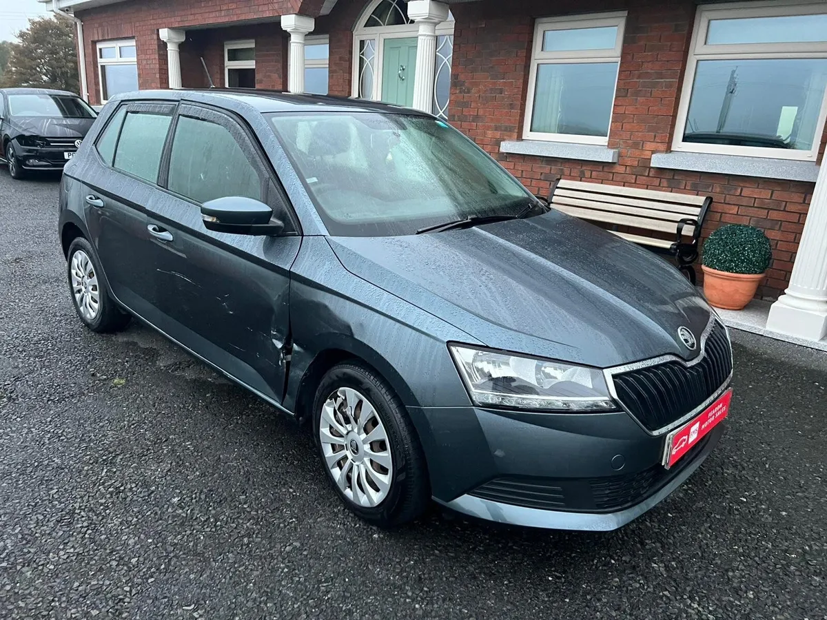 2020 Skoda Fabia - Image 1