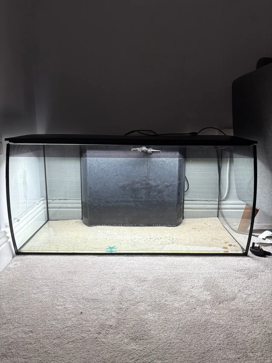 Fish tank - Image 2