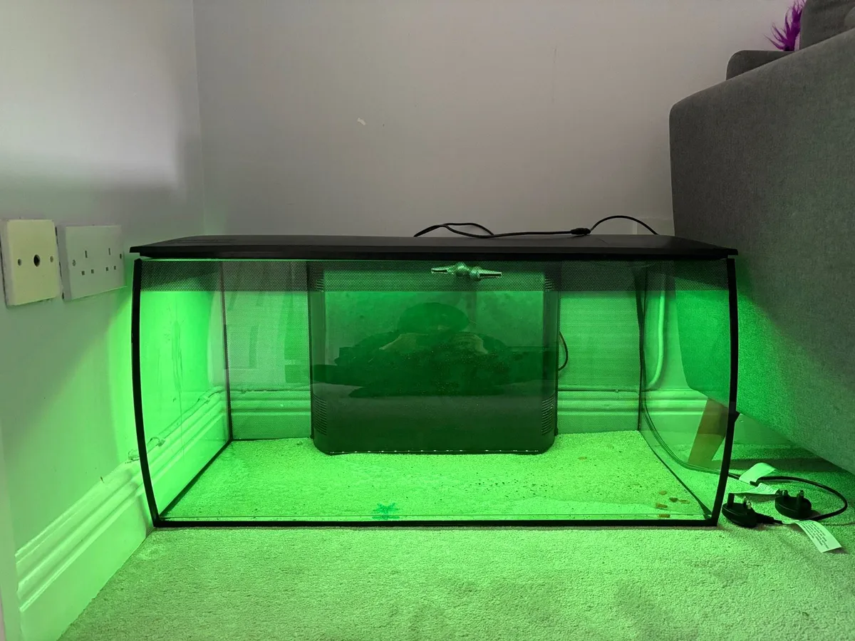 Fish tank - Image 3