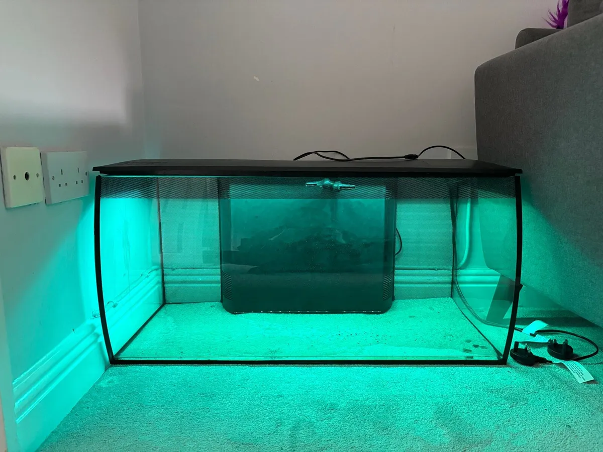 Fish tank - Image 4