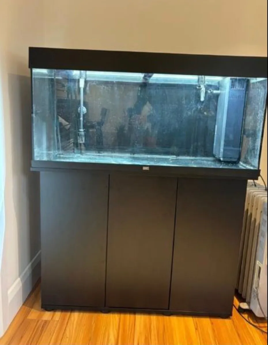 Fish Tank - Image 1
