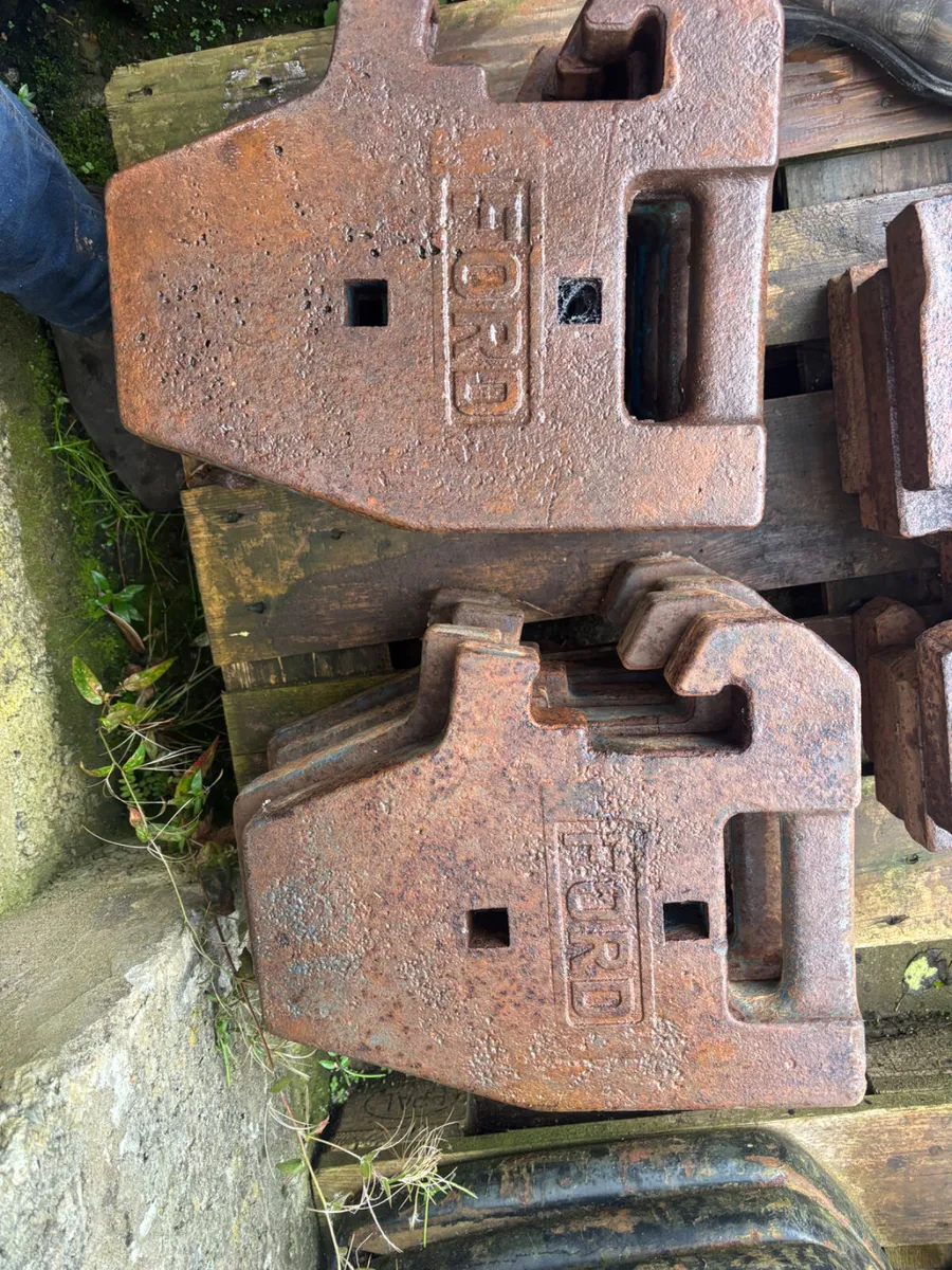 Ford weights