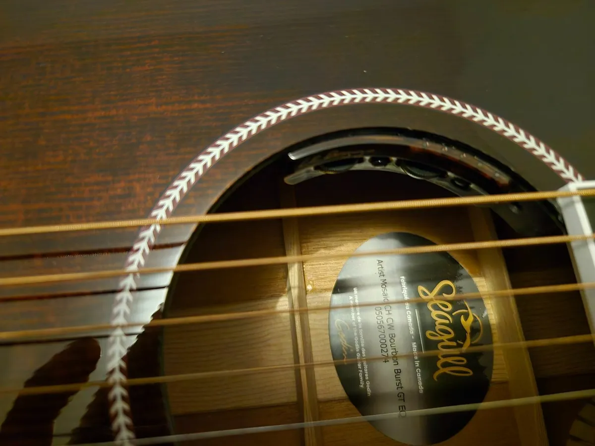 Seagull Artist Mosaic bourbon burst elec acoustic - Image 3