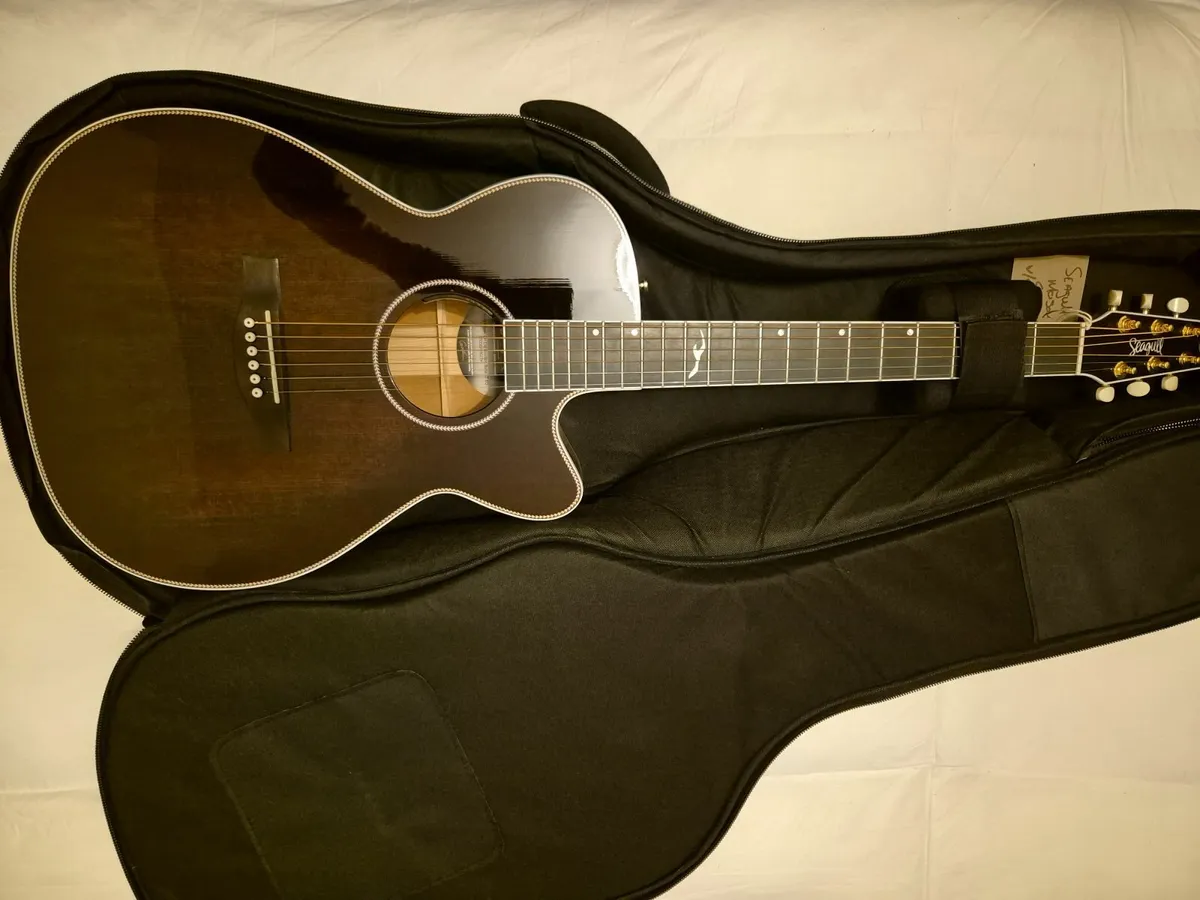 Seagull Artist Mosaic bourbon burst elec acoustic - Image 4