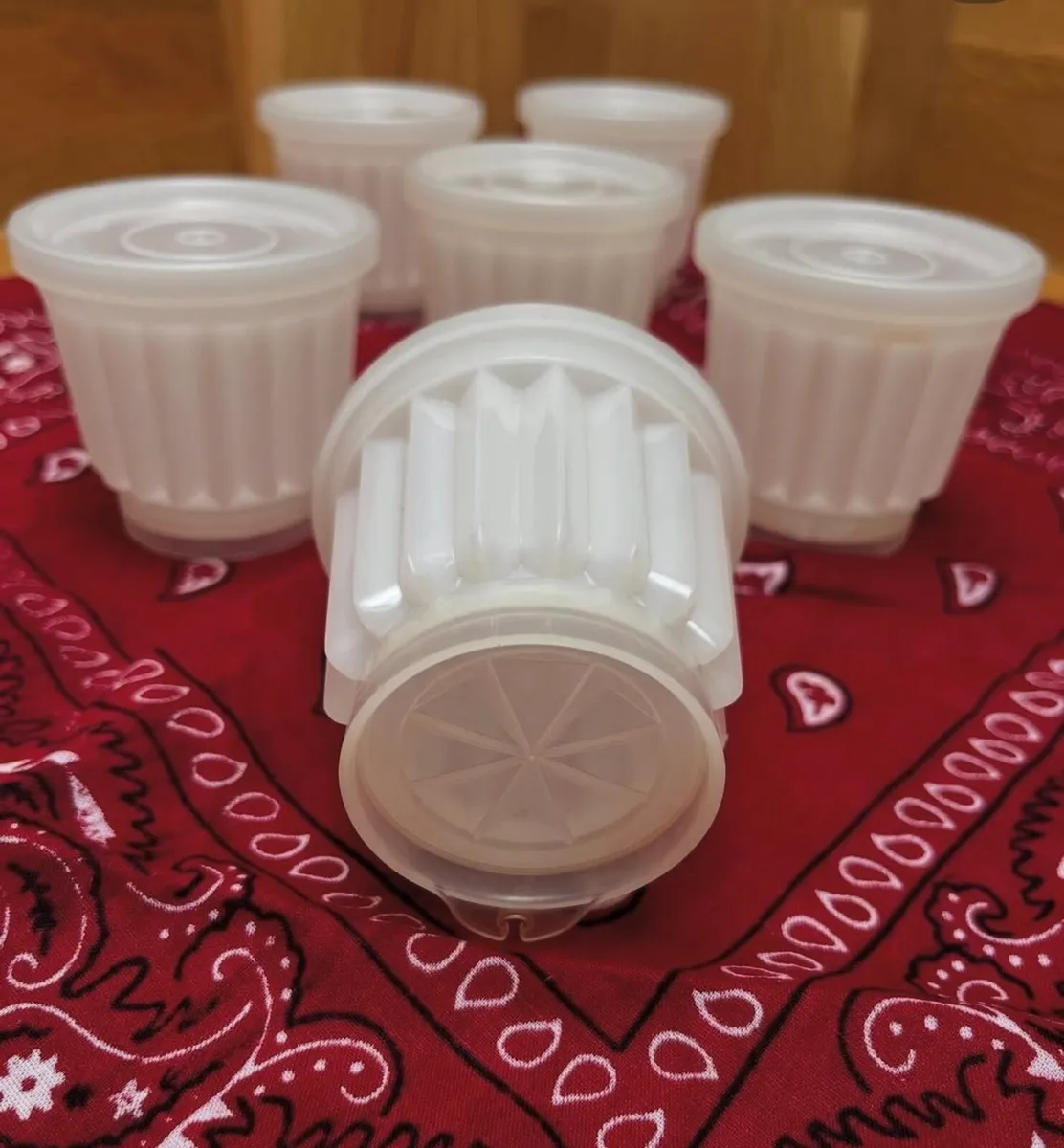 Jelly moulds - Image 2