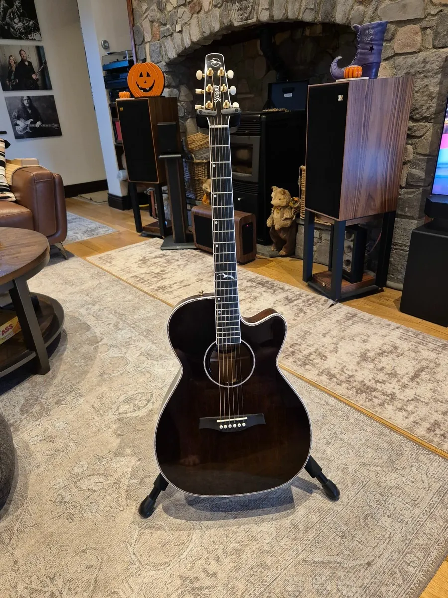 Seagull Artist Mosaic bourbon burst elec acoustic - Image 1