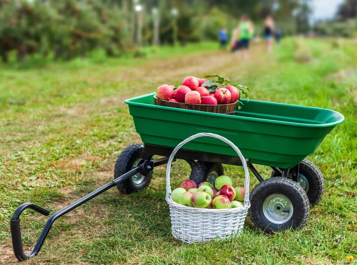XXL Garden Cart with 125l FREE DELIVERY - Image 1