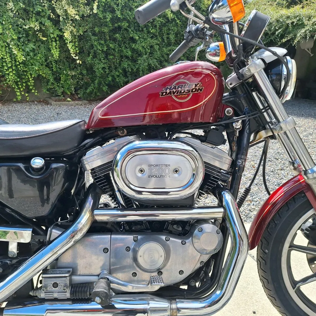 Harley davidson sporster 1200 - Image 2